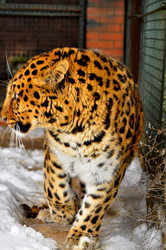 Similar image 21751645