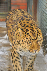 Similar image 21751647