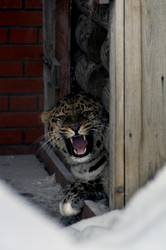 Similar image 21751718