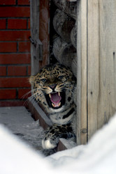 Similar image 21751719