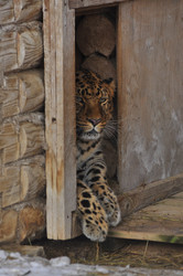 Similar image 21751721