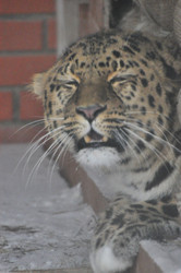 Similar image 21751722