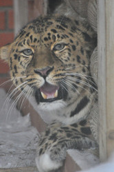 Similar image 21751724