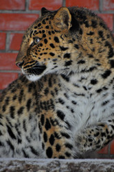 Similar image 21751725