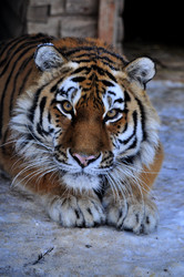 Similar image 21751727