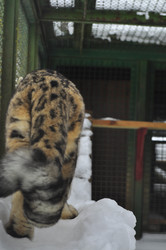 Similar image 21751728