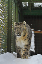 Similar image 21751730