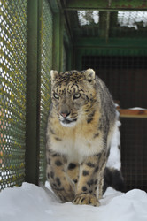 Similar image 21751731