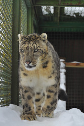 Similar image 21751733