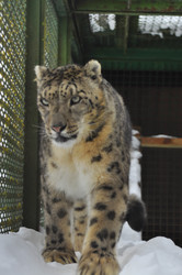 Similar image 21751734