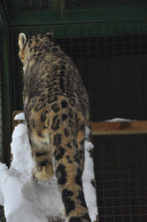 Similar image 21751735