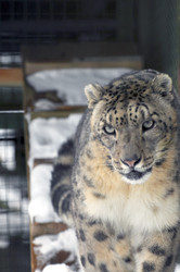 Similar image 21751736