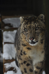 Similar image 21751737