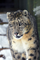 Similar image 21751739