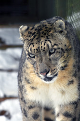 Similar image 21751741