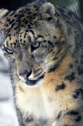 Similar image 21751742