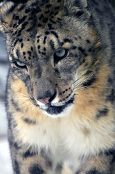 Similar image 21751743