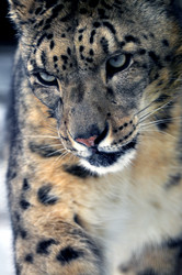 Similar image 21751744