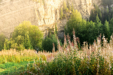 Similar image 21752595