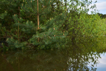 Similar image 21752600