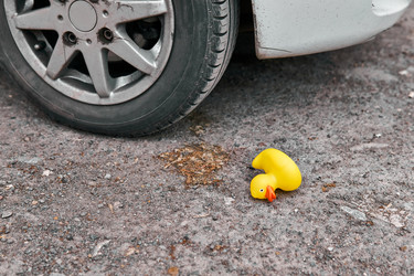 Similar image 21753944