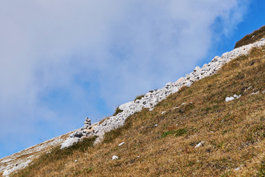 Similar image 21754339