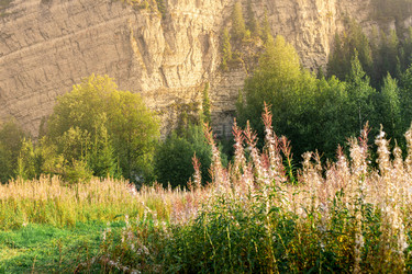 Similar image 21754559