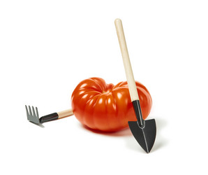 Similar image 21754755