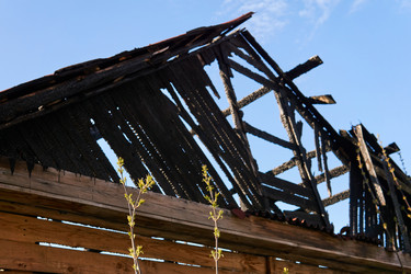 Similar image 21754881