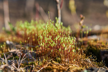 Similar image 21754996