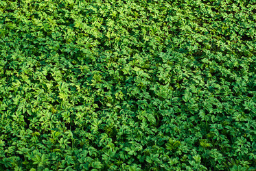 Similar image 21755167