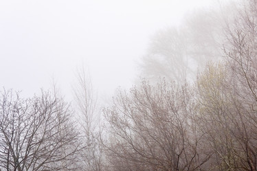 Similar image 21755168