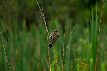 Similar image 21755169