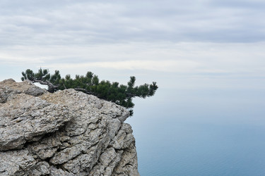 Similar image 21755991