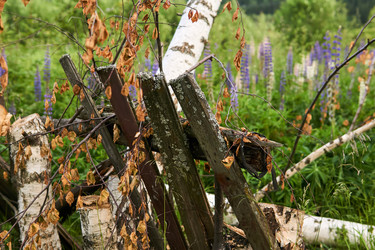 Similar image 21756567