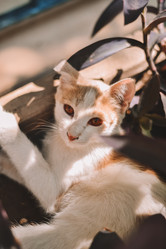 Similar image 21751831