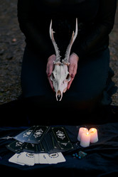 Similar image 21751832