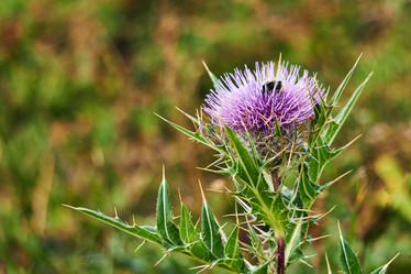 Similar image 21752606