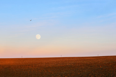 Similar image 21752607