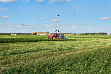 Similar image 21753341