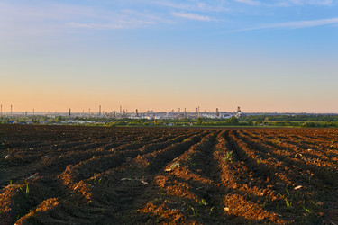 Similar image 21753346