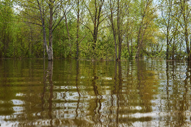 Similar image 21754564