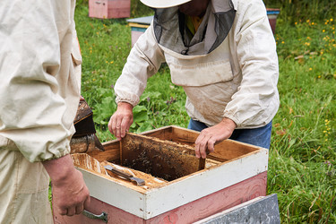 Similar image 21754565