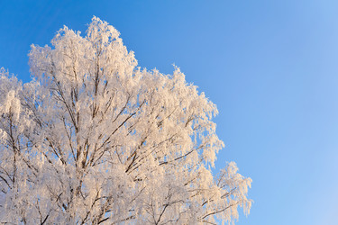 Similar image 21754775