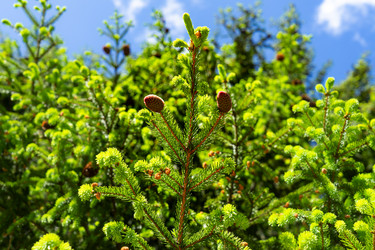 Similar image 21758594