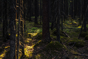 Similar image 21751833