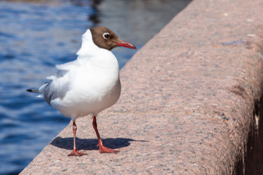 Similar image 21751485