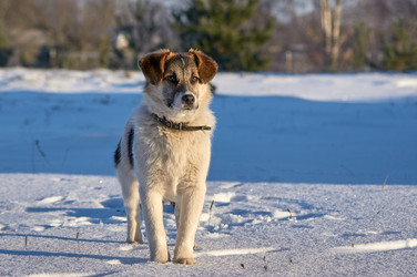 Similar image 21751650