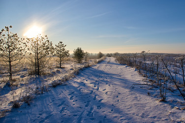 Similar image 21751652