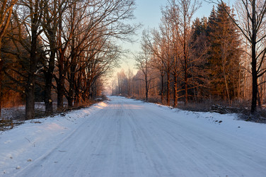 Similar image 21751655